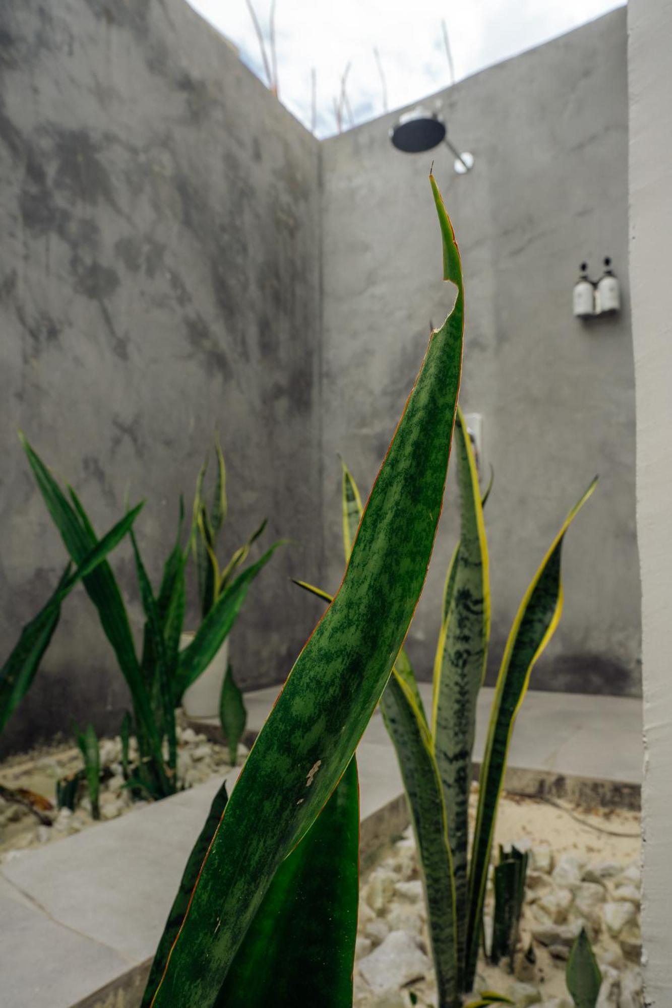 Savera Beach Houses Jambiani  Exterior photo