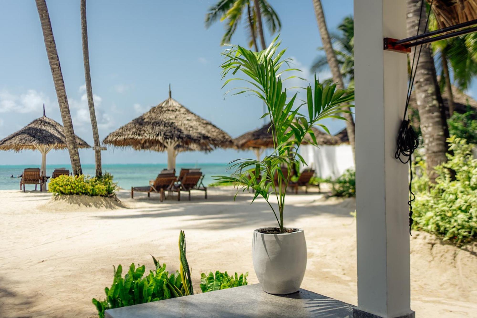 Savera Beach Houses Jambiani  Exterior photo